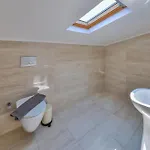 Begonya * Kaş